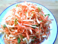 Salad with cabbage onion carrots and celery