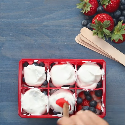 Frozen Yogurt Fruit Pops1