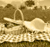 picnic ava